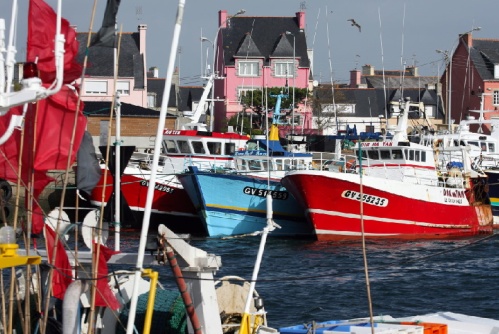 /Media/images/Product_Images/destinations/brittany/fishing boats, port guilvinec.jpg